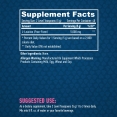 Sports L-Leucine / 200 g